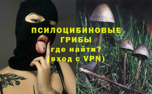 прущая мука Арсеньев
