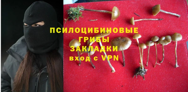 прущая мука Арсеньев