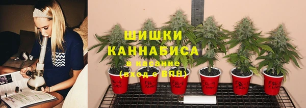 прущая мука Арсеньев