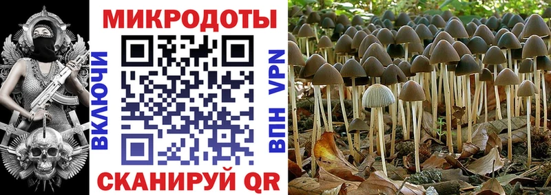 hydra tor  Белебей  Галлюциногенные грибы Psilocybe 